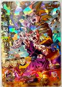 SUPER DRAGON BALL HEROES - H2-16 CP - SEC