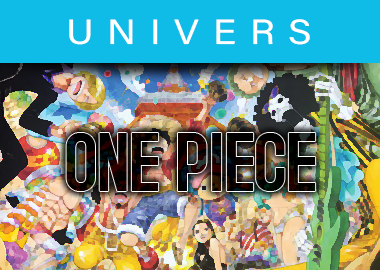 UNIVERS ONE PIECE