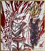 DRAGON BALL - SHIKISHI ART - série 12 - Numéro 08 - GOHAN