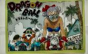 DRAGON BALL - ITAJAGA Vol.6 - 6-26 - SEC