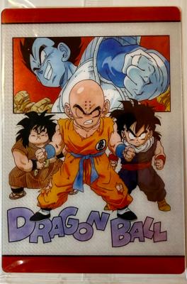 DRAGON BALL - ITAJAGA Vol.10 - 10-28 - CR