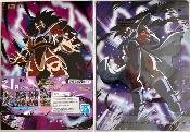 DRAGON BALL - SET de 2 CLEAR FILE ICHIBAN KUJI RISING FIGHTERS - LOT 3