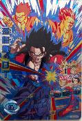 DRAGON BALL HEROES - HGD9-CP2